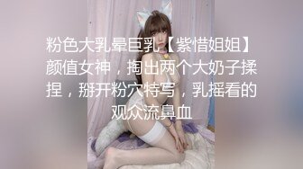 粉色大乳晕巨乳【紫惜姐姐】颜值女神，掏出两个大奶子揉捏，掰开粉穴特写，乳摇看的观众流鼻血