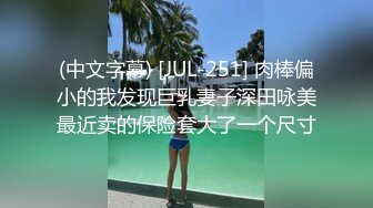 (中文字幕) [JUL-251] 肉棒偏小的我发现巨乳妻子深田咏美最近卖的保险套大了一个尺寸