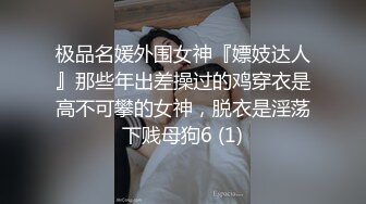 极品名媛外围女神『嫖妓达人』那些年出差操过的鸡穿衣是高不可攀的女神，脱衣是淫荡下贱母狗6 (1)