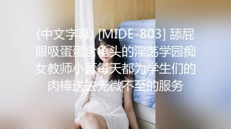 (中文字幕) [MIDE-803] 舔屁眼吸蛋蛋含龟头的淫荡学园痴女教师小蕾每天都为学生们的肉棒送去无微不至的服务