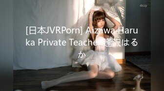 [日本JVRPorn] Aizawa Haruka Private Teacher 逢沢はるか