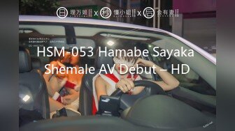 HSM-053 Hamabe Sayaka Shemale AV Debut – HD