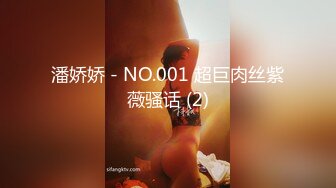 潘娇娇 - NO.001 超巨肉丝紫薇骚话 (2)