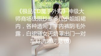 《极品CD魔手外购》神级大师商场极限抄底多位小姐姐裙内，各种透网丁字内裤阴毛外露，白裙骚女无奶罩出门一对车灯清晰可见 (6)