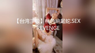 【台湾三级】桃色响尾蛇.SEX REVENGE