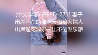 (中文字幕) [PRED-271] 妻子出差不在的那两天和秘密情人山岸逢花温泉中出不伦温泉旅行