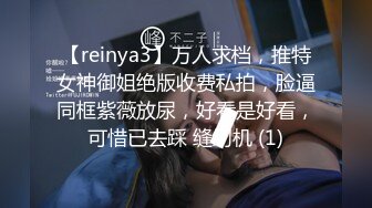 【reinya3】万人求档，推特女神御姐绝版收费私拍，脸逼同框紫薇放尿，好看是好看，可惜已去踩 缝纫机 (1)