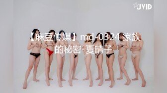 【麻豆传媒】md-0324 家族的秘密-夏晴子