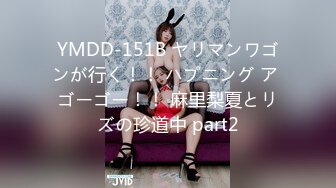 YMDD-151B ヤリマンワゴンが行く！！ ハプニング ア ゴーゴー！！ 麻里梨夏とリズの珍道中 part2